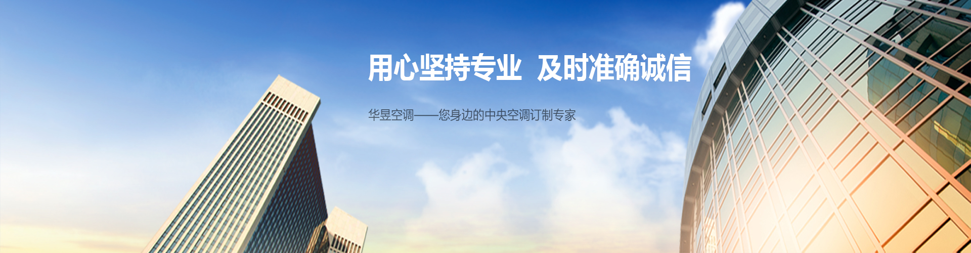 虎珀拾芥网